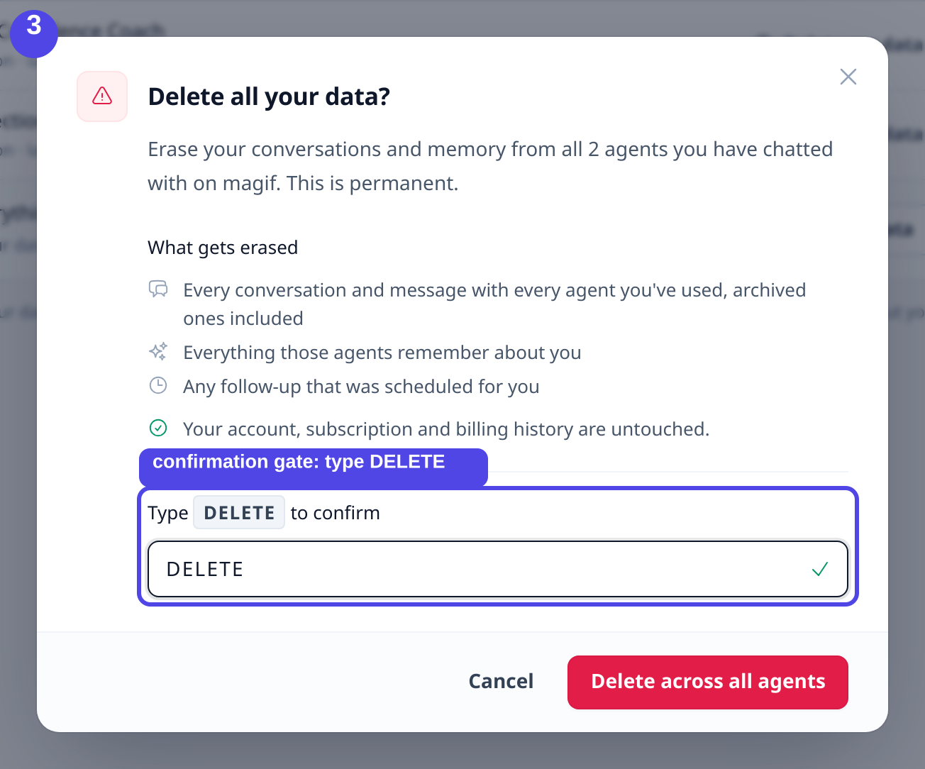 The delete confirmation dialog listing what will be erased, with a field that requires typing DELETE to confirm.