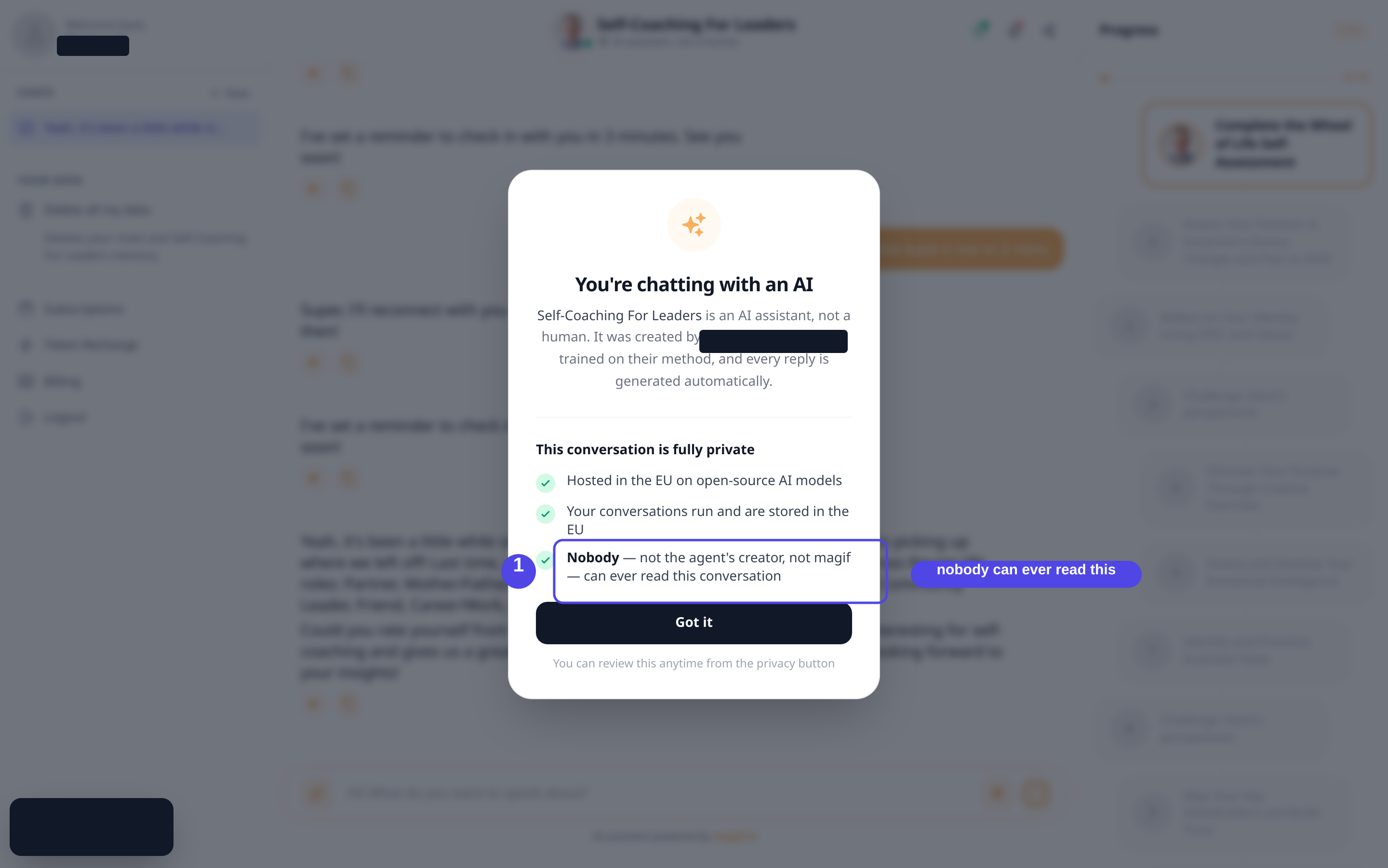 First-visit disclosure on a Private Mode agent, stating the conversation is fully private and nobody can read it.